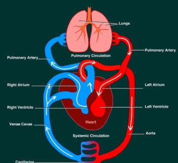 Organ warning image